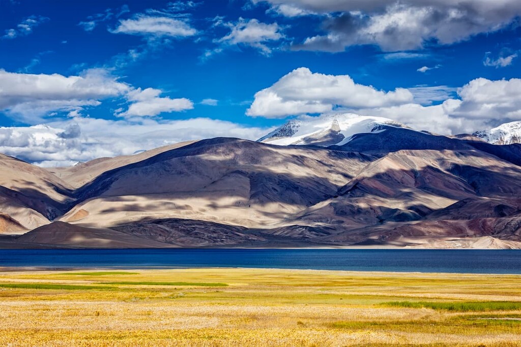 Breathtaking view of the vast Changtang Wildlife Sanctuary with snow-capped mountains in the background, diverse wildlife roaming freely in the untouched wilderness of Changtang, solo traveler observing wildlife in their natural habitat, group of travelers trekking through the expansive landscapes of Changtang, panoramic view of rolling grasslands dotted with herds of animals, close-up of unique flora found in the Changtang region, solo traveler taking notes on wildlife sightings, group of friends enjoying a guided tour in Changtang Wildlife Sanctuary, serene landscape with a crystal-clear lake reflecting the sky, wildlife photographer capturing the beauty of Changtang’s untouched wilderness 
