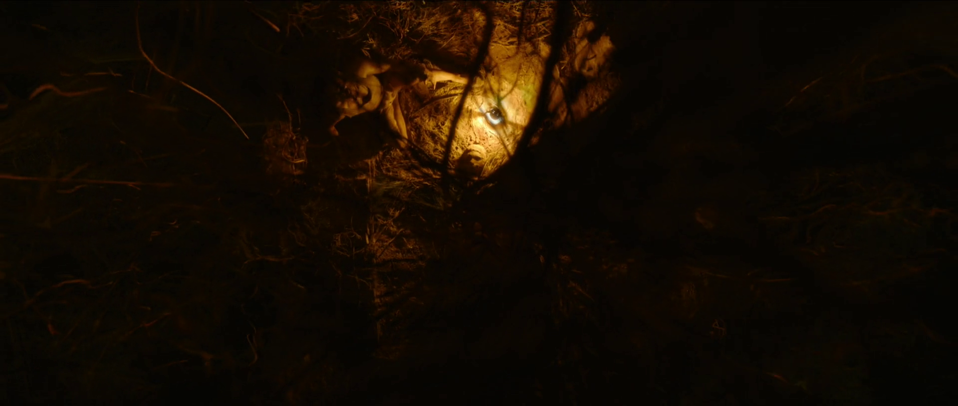 Tumbbad review, haunting story, greed myth, Tumbbad visuals, legacy movie, Indian mythology, must-watch film, atmospheric storytelling, big screen experience, mythological tale, Indian horror, folklore, suspense thriller, historical fantasy, visually immersive cinema, spine-chilling narrative, film on greed, cursed treasure, dark fantasy