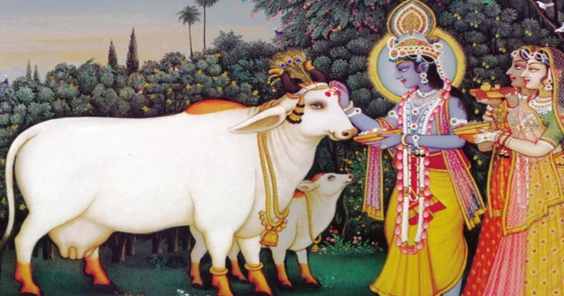 Diwali in Maharashtra is celebrated with unique rituals, including Vasu Baras for worshipping cows and preparing traditional faral treats like chakli, karanji, laddoos, and anarse. This image shows a family celebrating Diwali in Maharashtra, with a home adorned in colorful lights and diyas, sharing festive sweets and enjoying fireworks, capturing the joy and warmth of the occasion. 