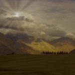 Best Hostels in Ladakh for Solo Travelers: A Guide to Budget Stays and Memorable Experiences